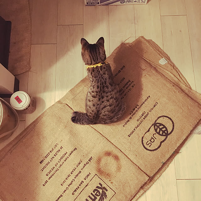 Mさんの実例写真