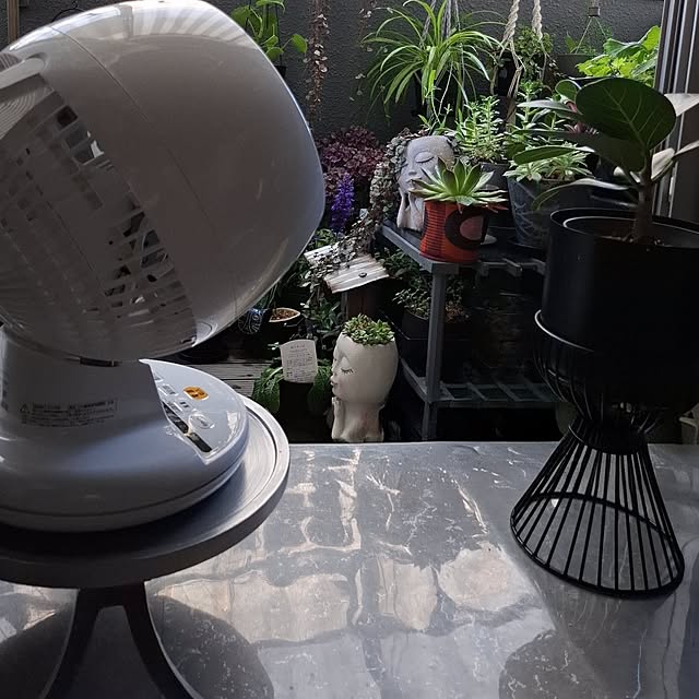 noaさんの部屋