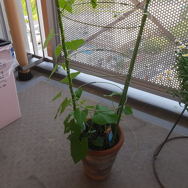 miyocoさんの実例写真