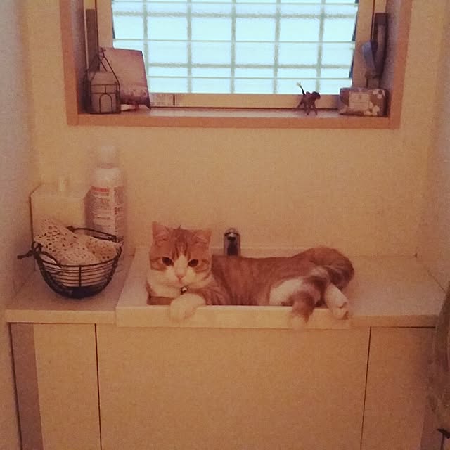 mi123さんの実例写真