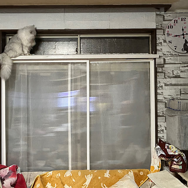 ikunyanさんの部屋