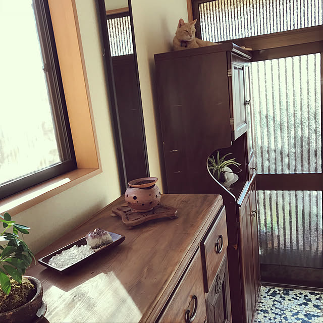 mikan161さんの実例写真