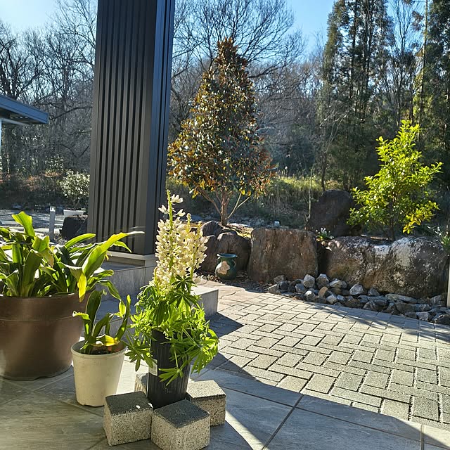 Rubiconさんの実例写真