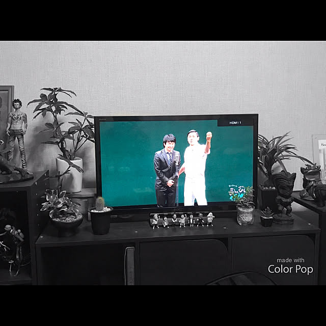 sotaさんの実例写真