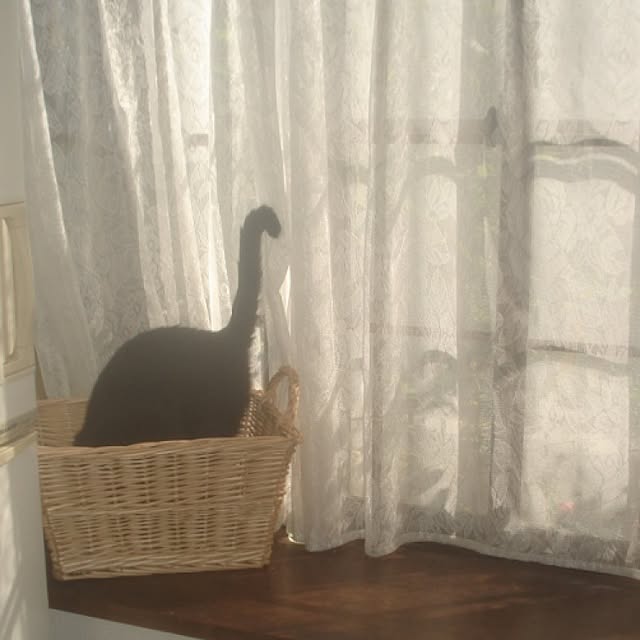 sannbonnnonamiさんの実例写真