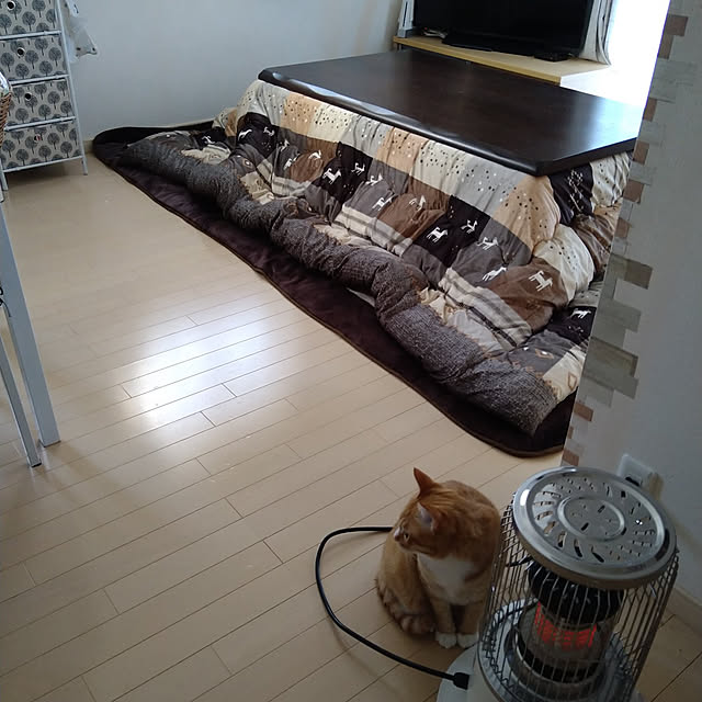 koromaroさんの実例写真