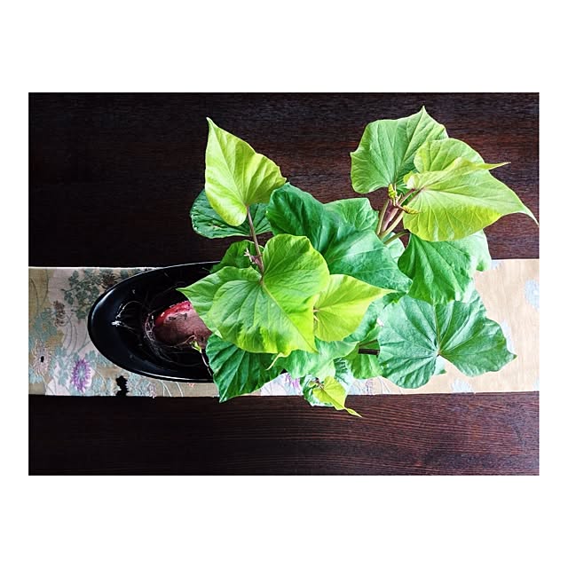MMさんの実例写真