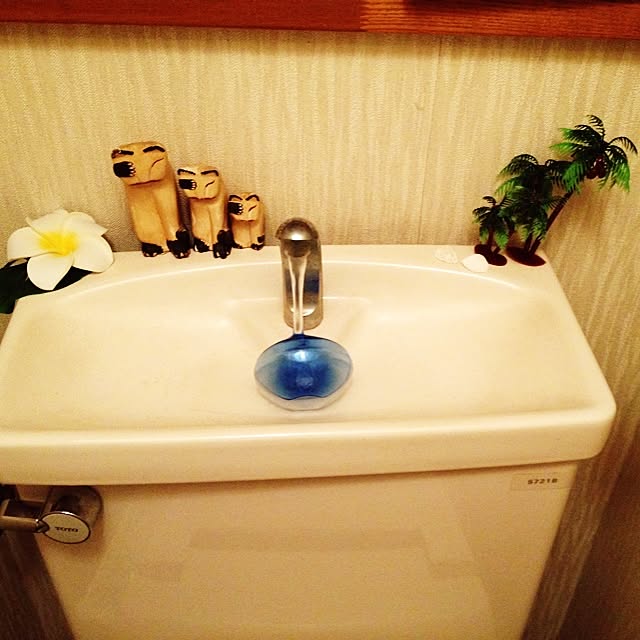 Nahoさんの実例写真