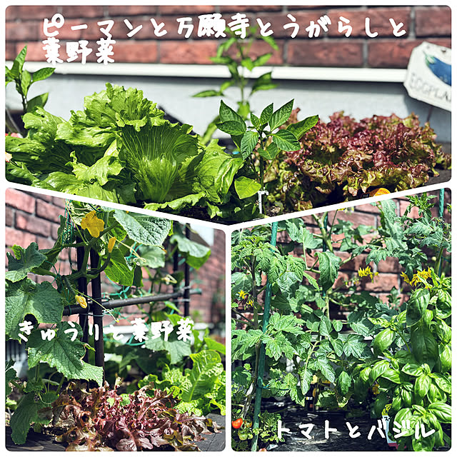 usagiさんの部屋