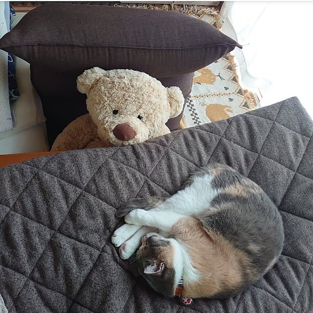 fukuさんの部屋