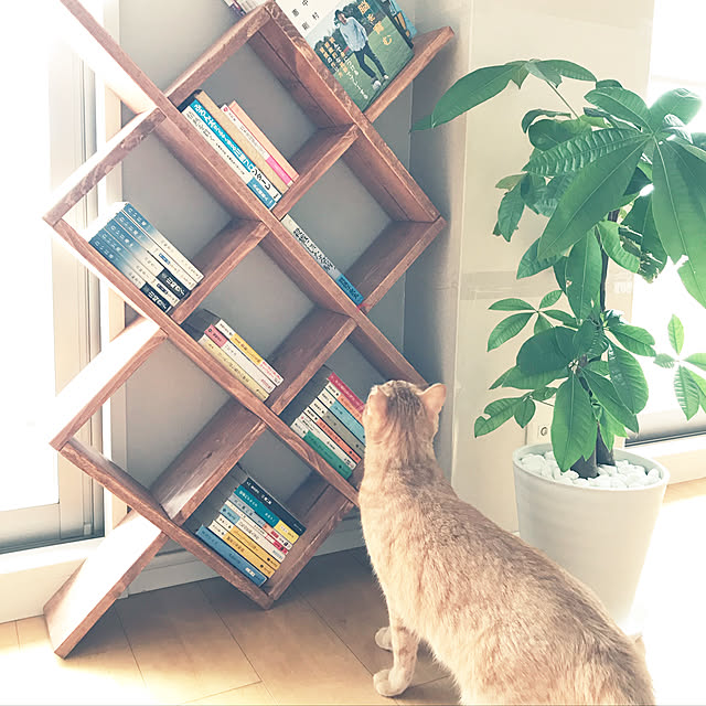 akunさんの実例写真