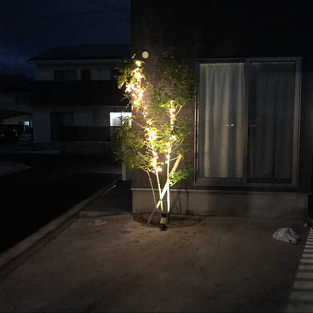 玄関/入り口/ライトアップ/外構/夜/観葉植物...などのインテリア実例 - 2017-10-31 00:27:07