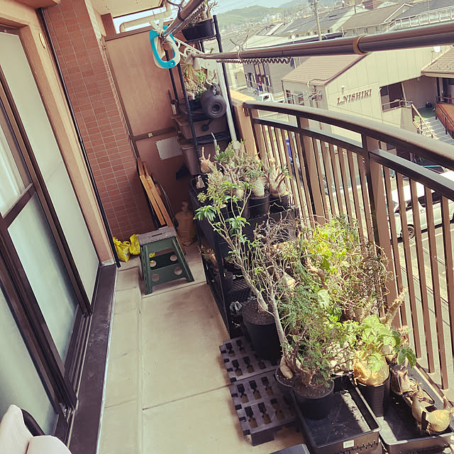 sarueru_k_sk8さんの実例写真