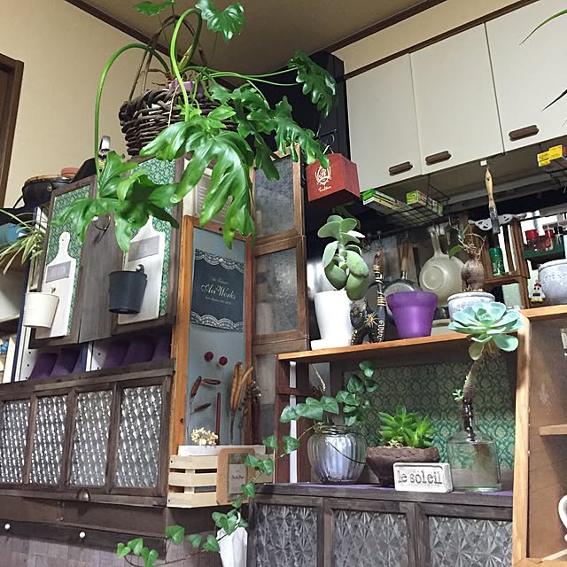 Norikoさんの実例写真