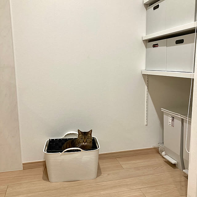 kirinsanさんの部屋