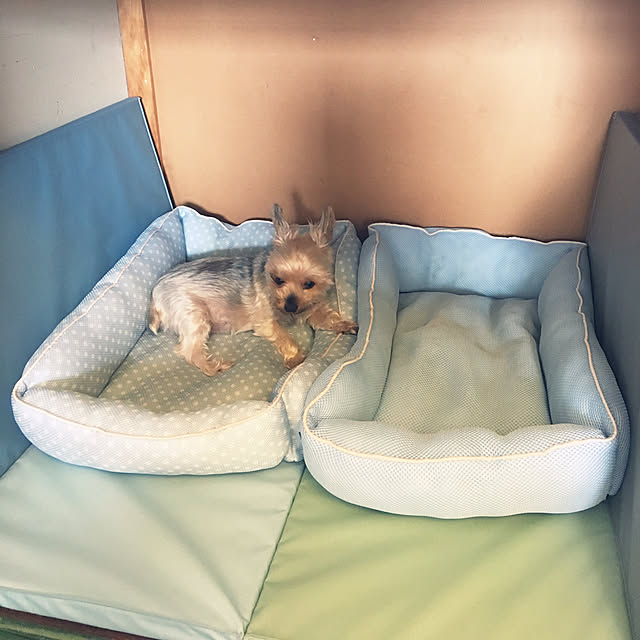 ohanaさんの実例写真