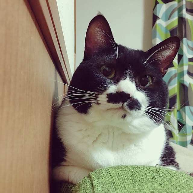 charuさんの実例写真