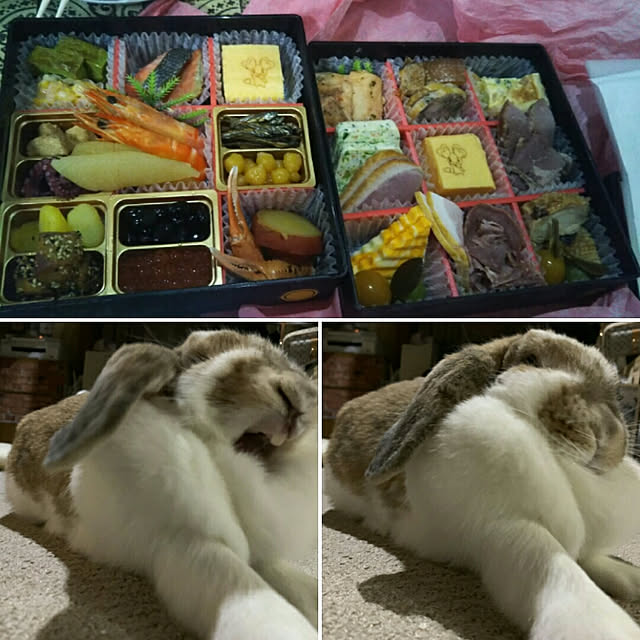 usamamaさんの実例写真