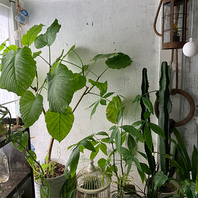 ganchan_0910さんの部屋