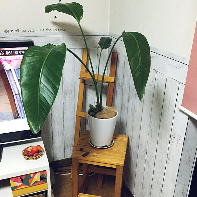 DIY/観葉植物/カフェ風/リビングのインテリア実例 - 2020-03-23 00:06:41