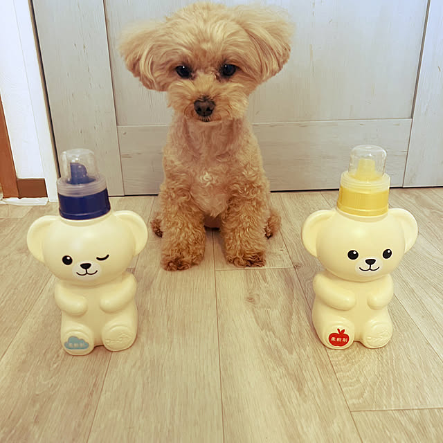 akoさんの実例写真