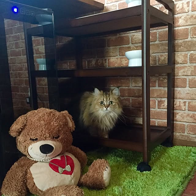 butachanさんの実例写真
