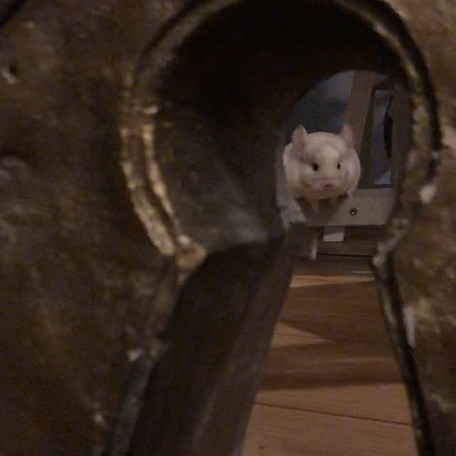 bambiさんの実例写真