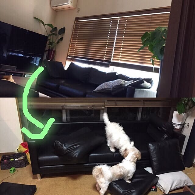 june.0107さんの実例写真