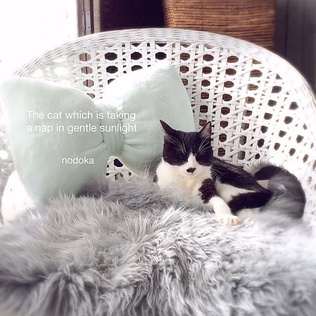 nodokaさんの実例写真