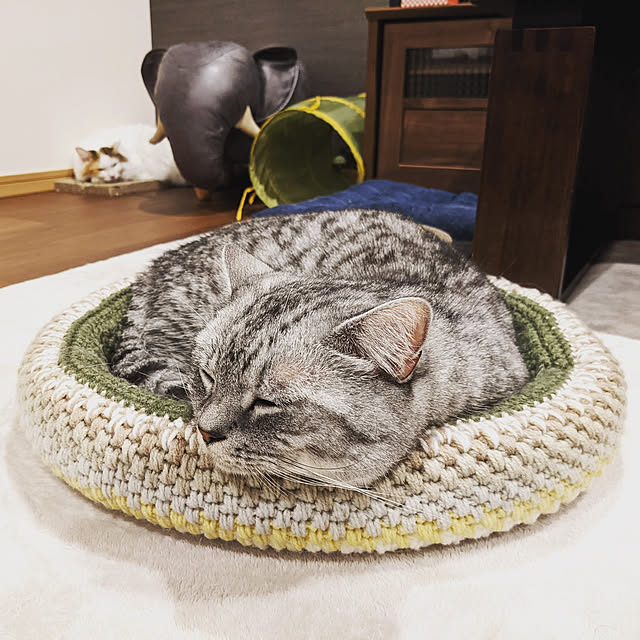 mewさんの実例写真