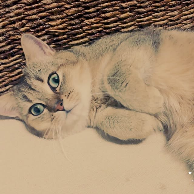mmm2410さんの実例写真