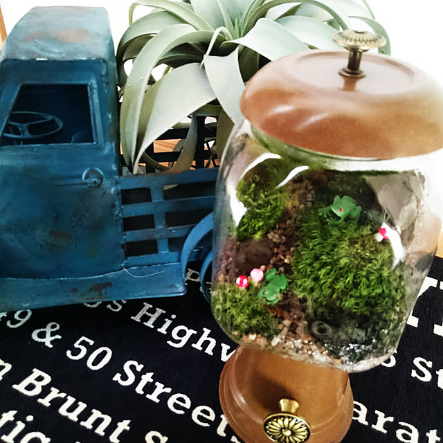 壁/天井/いいね！ありがとうございます♪/グッピーと暮らす/セリア♡/苔テラリウム...などのインテリア実例 - 2018-03-27 09:55:43