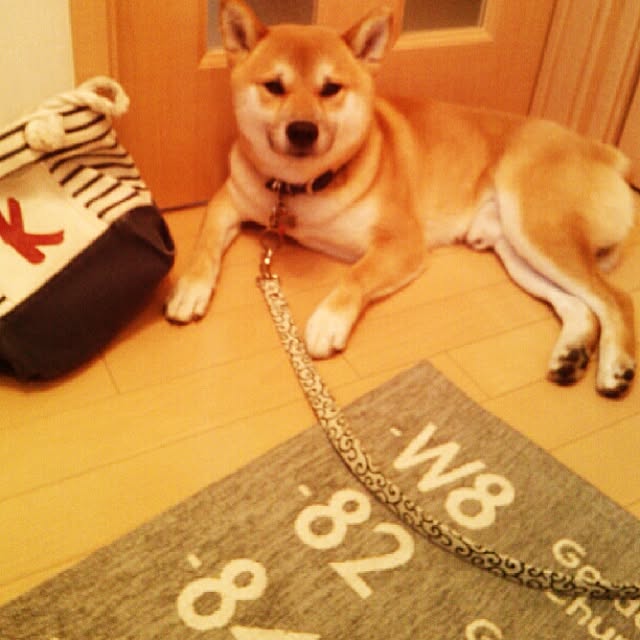 kotaさんの実例写真