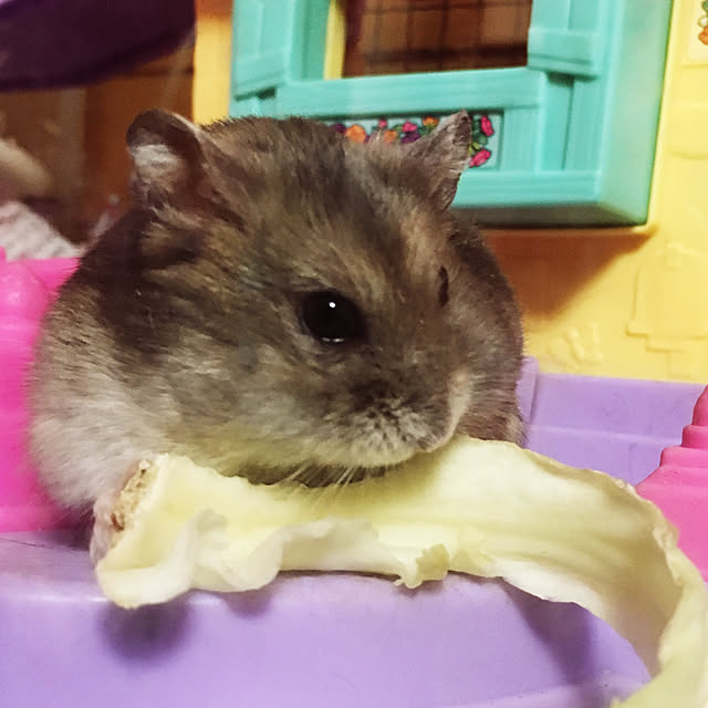 mmmmmkさんの実例写真