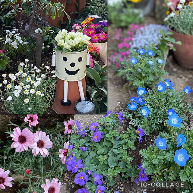 Smilkazuさんの実例写真