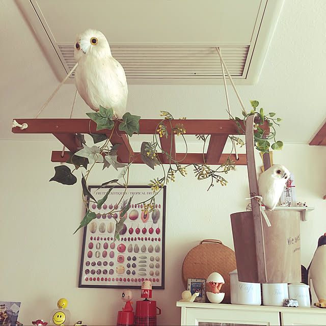 COCOさんの実例写真