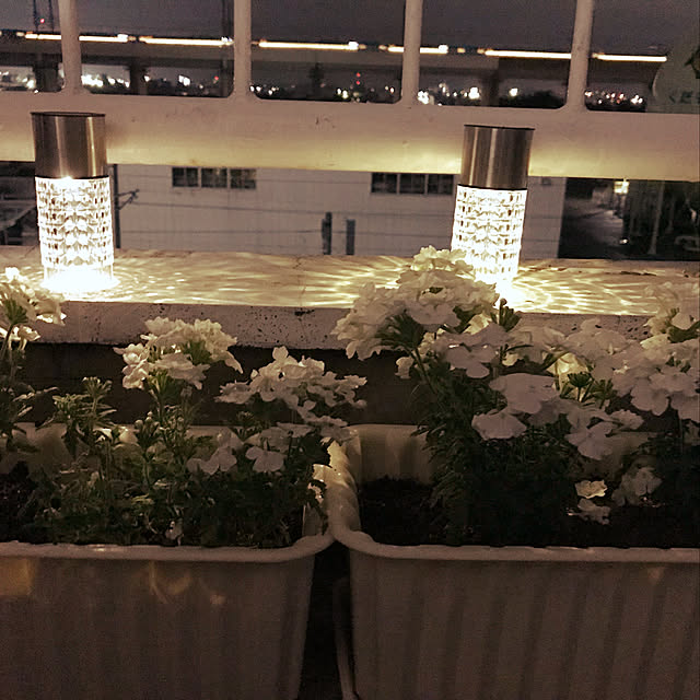 roseさんの実例写真