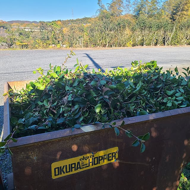 Rubiconさんの部屋