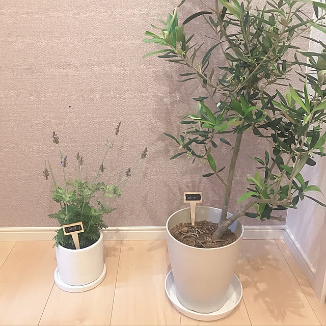 a.chika421さんの実例写真