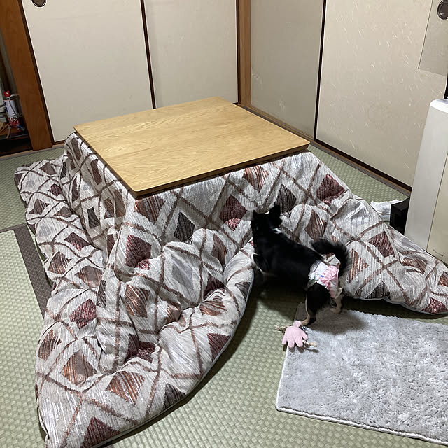 koroのイケヒコ・コーポレーション-こたつ布団　クレース　【イケヒコ】の家具・インテリア写真