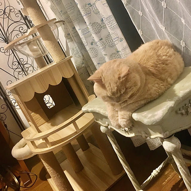 naokoさんの部屋