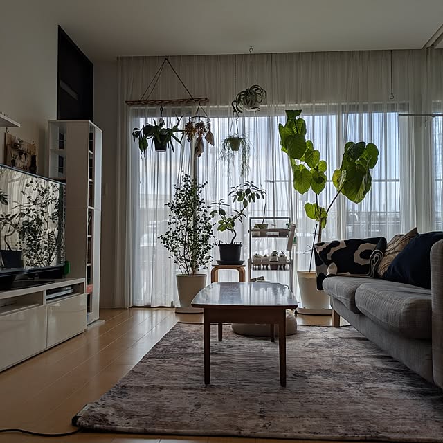 naoさんの実例写真