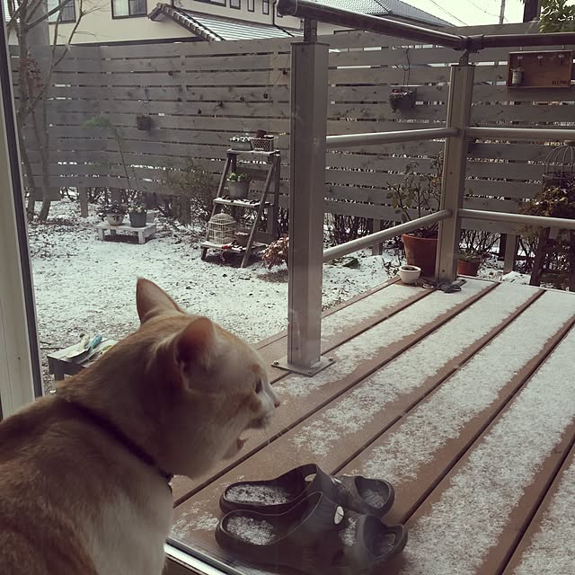 chiimalさんの実例写真