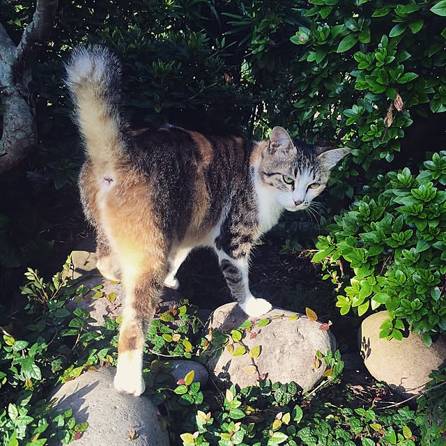 yukiさんの実例写真