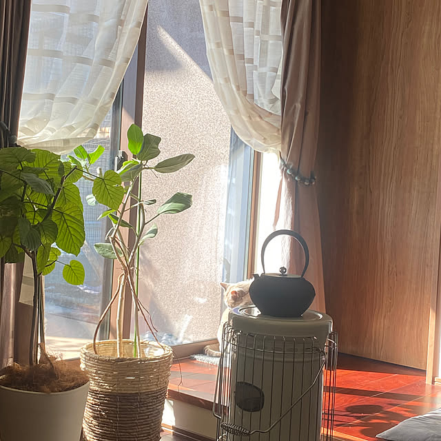 taakoさんの部屋