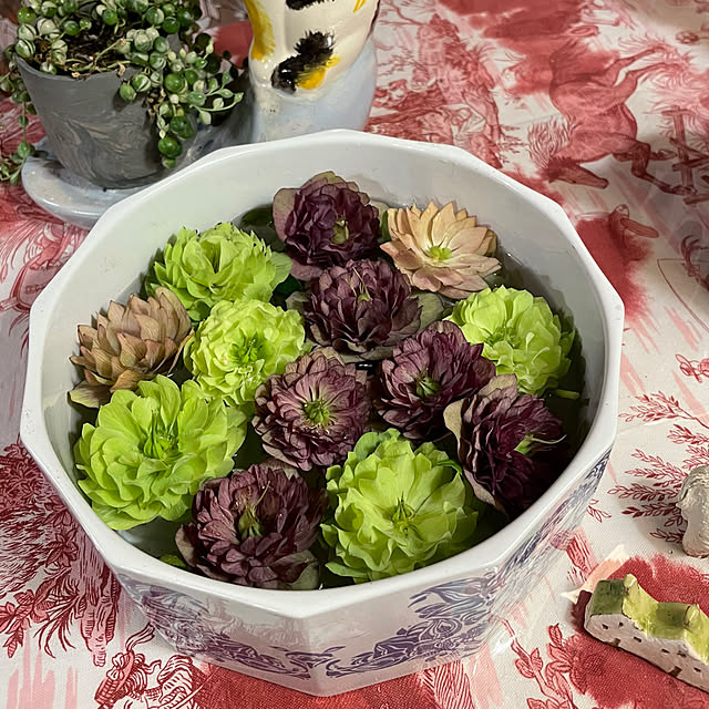 shin0719さんの部屋