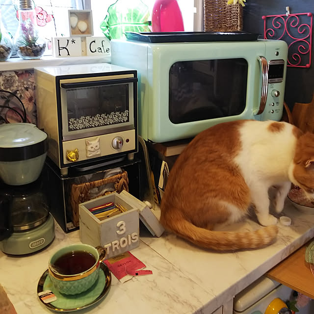 uutann320mozukuさんの実例写真