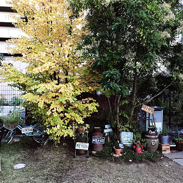 michi-michi39さんの実例写真