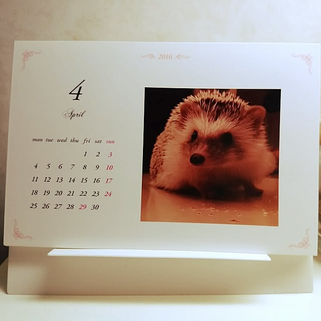kuruさんの実例写真