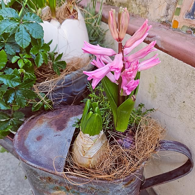 mocomocoさんの部屋